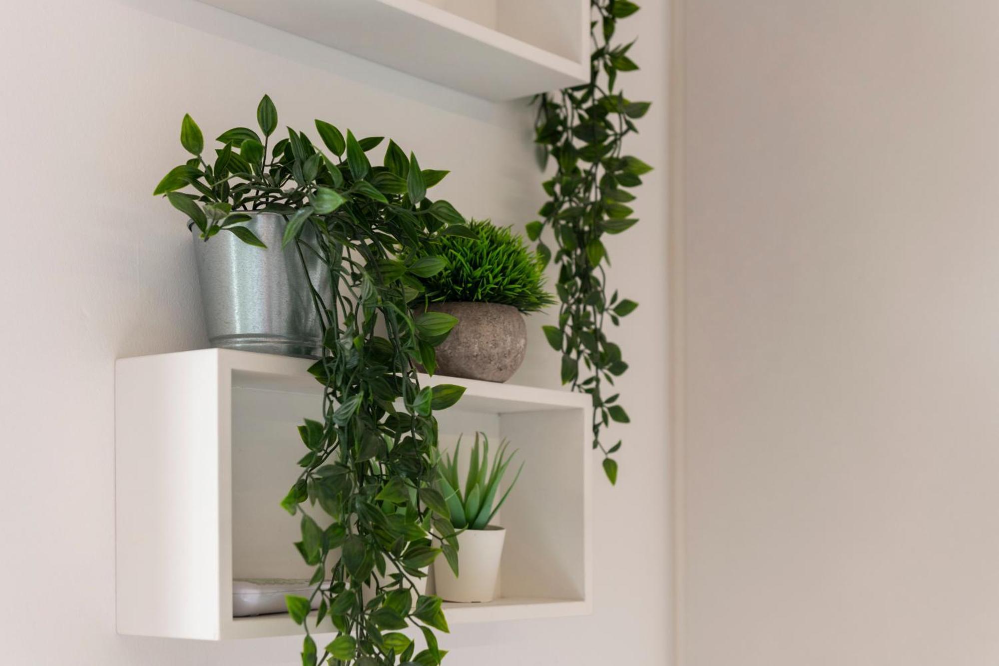 Villa Fenix Milano Eksteriør bilde